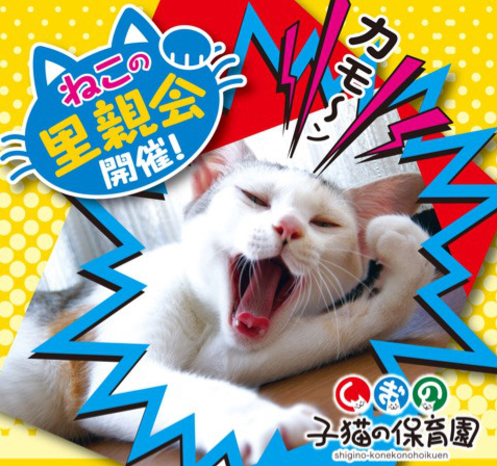 猫|イベント|大阪|関西|ねこ|ハンドメイド|猫グッズ|猫雑貨|即売会|保護猫|ネコ|ニャンズマーケット|にゃんとも|猫好きのための猫グッズ即売会にゃんともニャンズマーケット